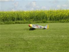 PICT1803.JPG